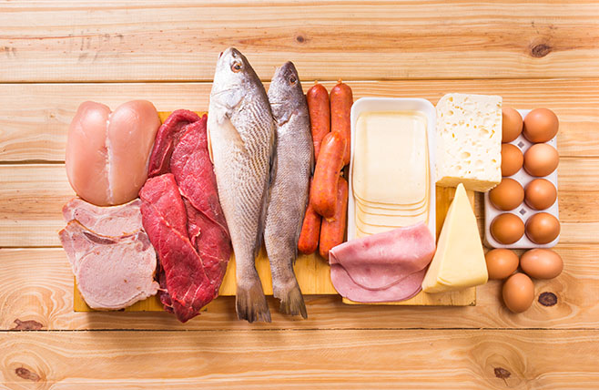 different protein food sources