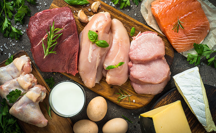 Animal protein sources. Beef, pork, chicken, fish, eggs, cheese and milk Dark stone table top view